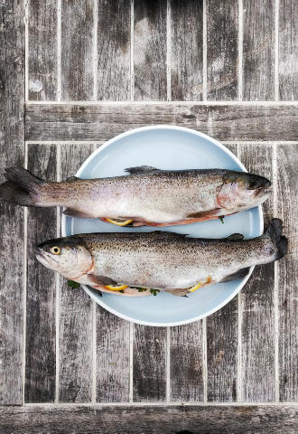 Mountain fish